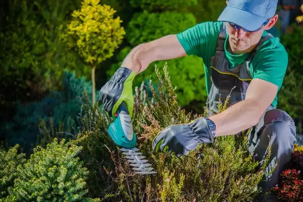 landscaping services Ewing